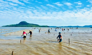 Quảng Ninh chấn chỉnh tình trạng nuôi trồng thủy sản 