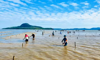 Quảng Ninh chấn chỉnh tình trạng nuôi trồng thủy sản 