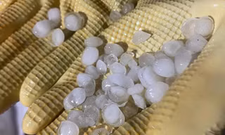 Mưa đá, giông lốc ở Quảng Ninh khiến 2 người tử vong