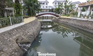 Cận cảnh ‘kênh khu nhà giàu’ ở Quảng Ninh ô nhiễm nặng