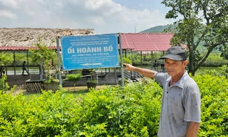 Quảng Ninh giảm nghèo từ nội lực