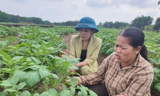 Người gieo ‘no ấm’ trên những cánh đồng ở Nà Bấc