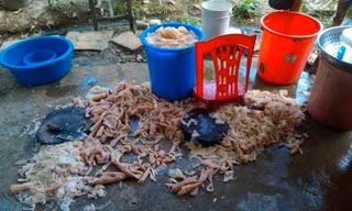 Quảng Ninh công khai chi tiết loạt cơ sở vi phạm an toàn thực phẩm