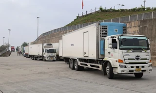 Hàng hóa qua cửa khẩu Quảng Ninh tăng mạnh 