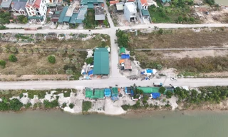 Quảng Ninh xử lý hàng loạt cơ sở chế biến hàu