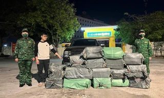 Mượn ô tô của bố vợ đi chở thuê gần 400kg lòng lợn thối 