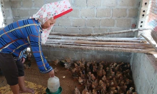 Lấu Gìn Tồng, từ gian khó đến điểm sáng giảm nghèo