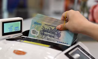 Lệ phí môn bài là gì, sao doanh nghiệp tạm ngừng hoạt động bị mắc kẹt? 