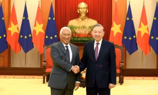 Nâng tầm toàn diện quan hệ của Việt Nam với Đan Mạch, EU và Bỉ