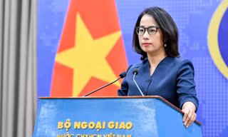 Việt Nam kiên quyết phản đối các hoạt động phi pháp ở Hoàng Sa