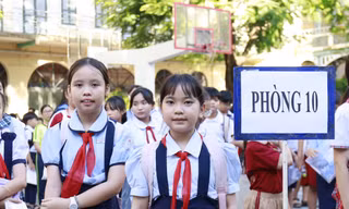 Để bảo đảm tính khách quan và công bằng, Sở Giáo dục và Đào tạo TP.HCM xây dựng đề khảo sát thống nhất. Đối với Trường THCS-THPT Trần Đại Nghĩa, Sở trực tiếp tổ chức kỳ khảo sát từ khâu ra đề, coi thi, chấm thi đến phúc khảo. Với bốn trường còn lại, chính quyền địa phương chịu trách nhiệm tổ chức kỳ khảo sát theo hướng dẫn chuyên môn của Sở.