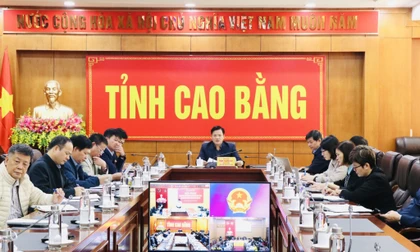 Điểm cầu tỉnh Cao bằng tham gia họp trực tuyến.