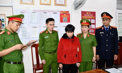 Khởi tố, bắt tạm giam người mẹ giết con để trục lợi bảo hiểm ở Quảng Nam