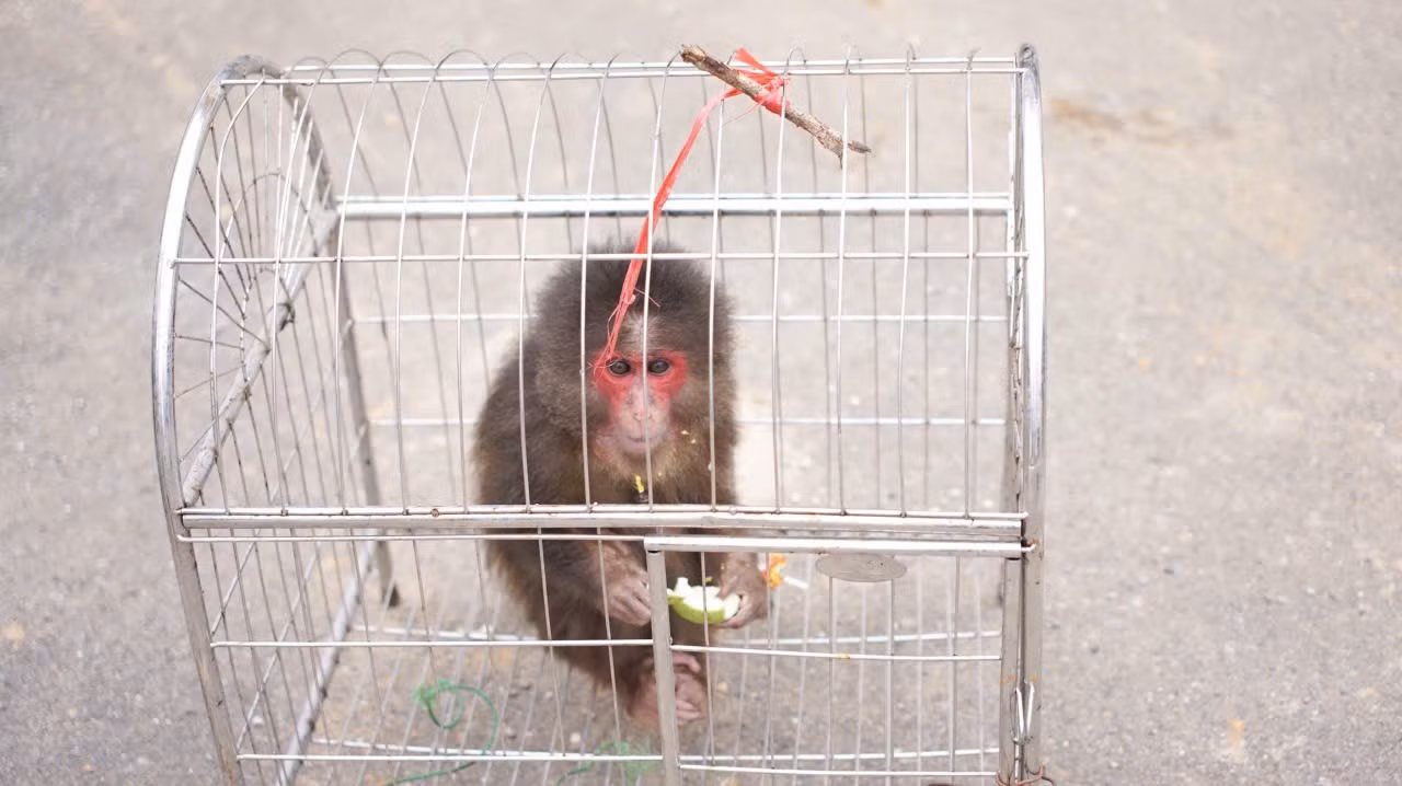 13131.jpg
