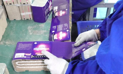 Khám phá quy trình sản xuất 3 triệu giàn pháo hoa cung ứng thị trường Tết 2023