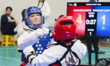 Taekwondo Hà Nội: 'Đãi cát tìm vàng' từ phong trào
