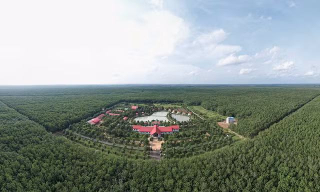 Khát vọng vươn mình cùng cây cao su