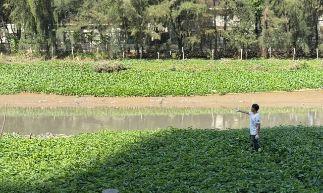 Phát hiện thi thể nam giới nổi trên rạch ở TPHCM