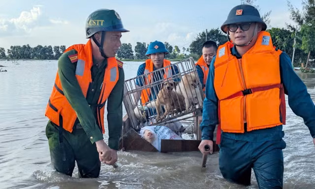 Lực lượng công an, quân sự phường Hải Dương hỗ trợ người dân ven sông sơ tán tài sản, vật dụng thiết yếu.