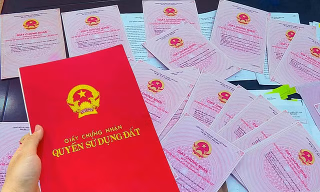 Ảnh minh họa: Internet