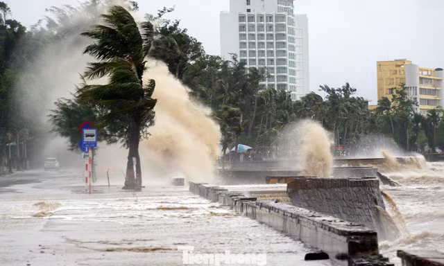 Hải Phòng cấm biển ứng phó bão số 11