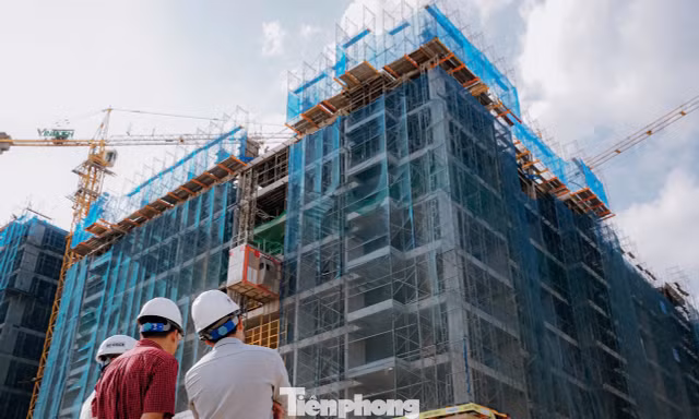 Hơn 20% công nhân, lao động ở Hải Phòng có nhu cầu về nhà ở xã hội