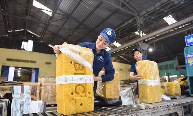 Từ màu xanh cao su đến giá trị bền vững của VRG