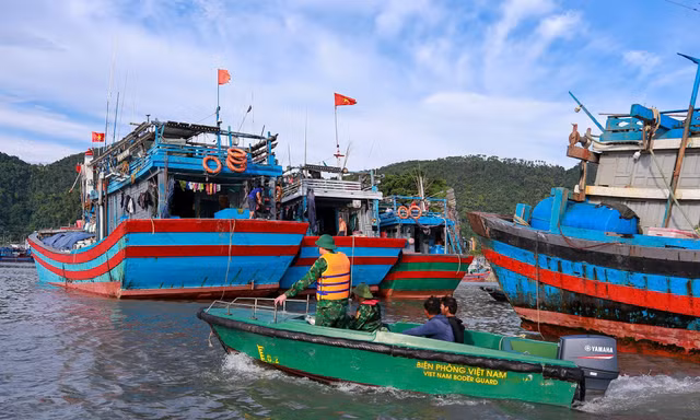 Bộ đội biên phòng Đặc khu Cát Hải tổ chức lực lượng triển khai các giải pháp ứng phó bão số 11.