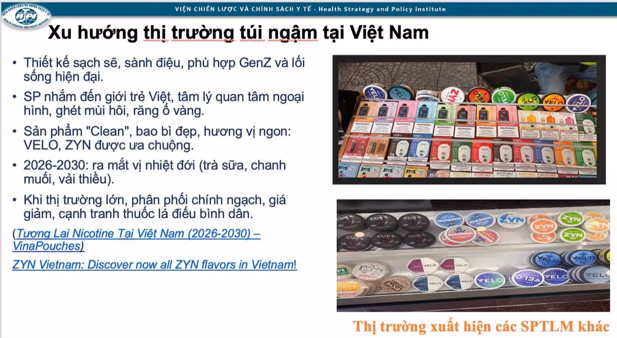 Bộ Y tế cảnh báo thuốc lá mới - túi ngậm nicotine.