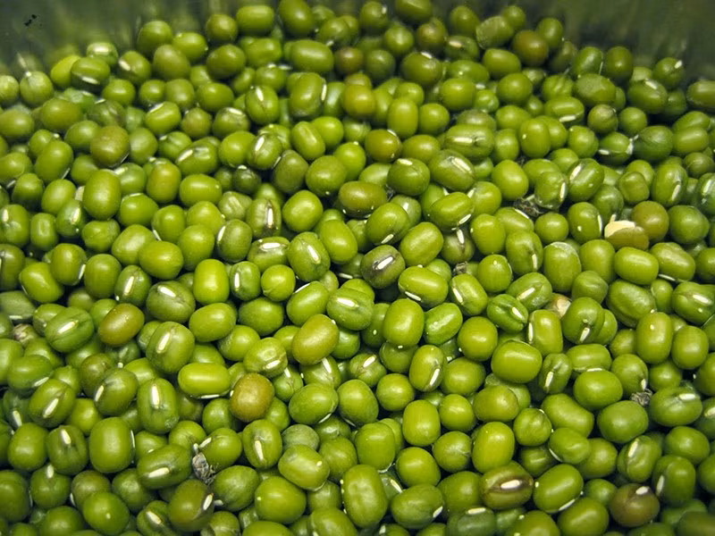 vo-dau-xanh.jpg