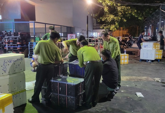 Các sọt nhựa đựng chim cu ngói bị bắt giữ - Ảnh Kiểm lâm TP HCM cung cấp