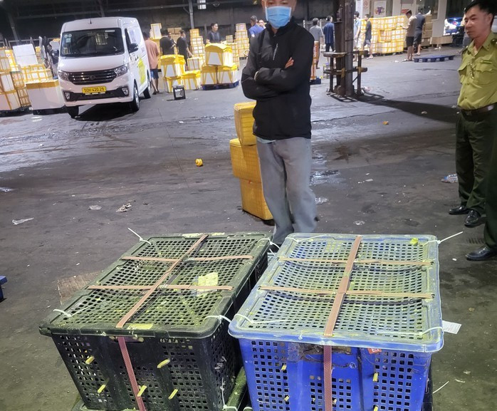 Sau nhiều ngày trinh sát, kiểm lâm TP HCM mới phát hiện vụ việc - Ảnh: Kiểm lâm TP HCM cung cấp