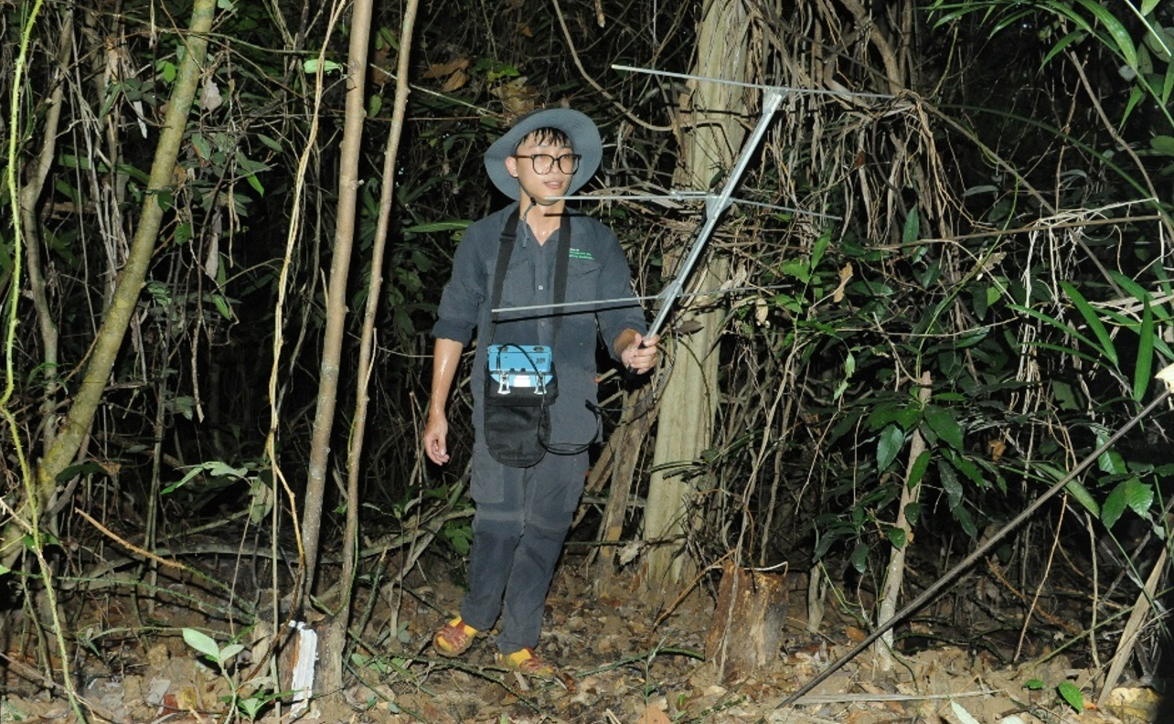 Cán bộ CTNC áp dụng công nghệ Radio-tracking trong công tác điều tra loài rùa hộp trán vàng miền Nam. anh-man-hinh-2025-10-16-luc-071639.png