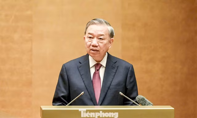 Tổng Bí thư, Chủ tịch nước Tô Lâm: Chấm dứt tình trạng đầu tư theo phong trào