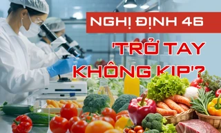 Hoả tốc đề nghị 3 bộ gỡ vướng hơn nghìn container nông sản ùn tắc