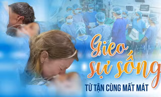 Gieo sự sống từ tận cùng mất mát