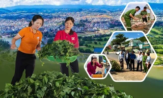 Lâm Đồng nỗ lực xóa đói giảm nghèo bền vững