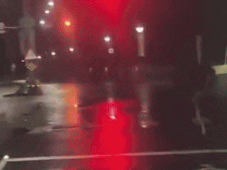 Ảnh hưởng khó tin của bão Podul ở Đài Loan: Đà điểu sợ sét bỏ chạy, chủ bị phạt