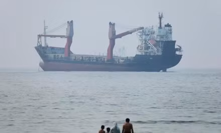 Truyền thông Iran đưa tin tàu container mắc cạn ở eo biển Hormuz
