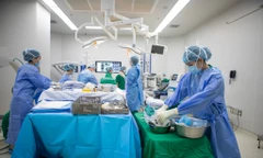 Sinh viên hiến gan cứu giảng viên hôn mê sâu