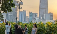 Giới trẻ hào hứng check-in cùng hoa hướng dương giữa lòng Sài Gòn