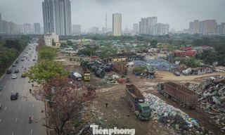 Khu đất nông nghiệp có nhiều diện tích bị chiếm dụng để kinh doanh từ trước năm 2014 và có cả những vi phạm phát sinh từ năm 2018 đến nay.