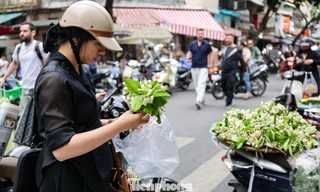Hoa bưởi ngập phố Hà Nội, giá 'chát' vẫn đắt hàng 