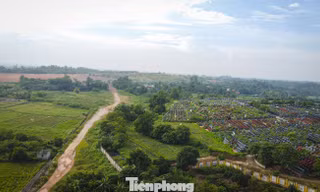 Dự án Nghĩa trang Yên Kỳ mở rộng: Phấn đấu bàn giao mặt bằng sạch trong quý II/2026