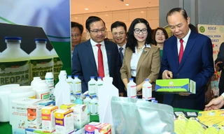 Cách nào 'kích hoạt' 33 tỷ USD cho ngành chăn nuôi Việt Nam?