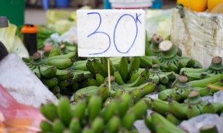 Chuối xanh 28 Tết: Từ nửa triệu ‘rơi’ xuống 30.000 đồng vẫn ế