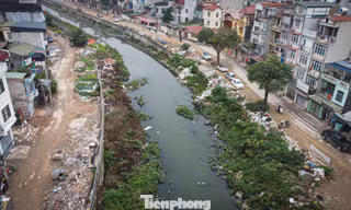 Rác thải lại 'bức tử' kênh La Khê