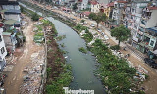 Rác thải lại 'bức tử' kênh La Khê