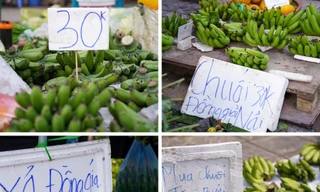 Chuối xanh 28 Tết: Từ nửa triệu đồng ‘rơi’ xuống còn 30.000 đồng vẫn ế