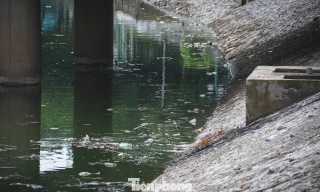 Sông Tô Lịch chỉ có thể hồi sinh khi quản lý tốt không gian hai bên bờ